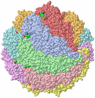 Image Biol. Unit 1 - sites