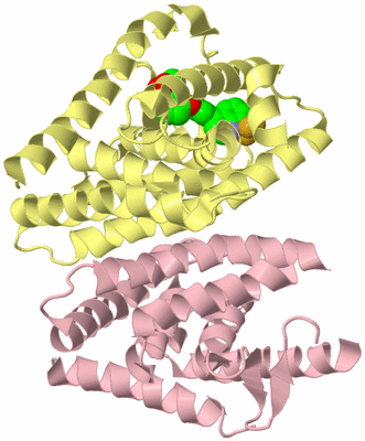 Image Biological Unit 2