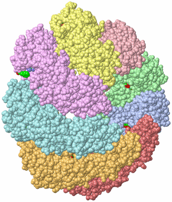 Image Asym./Biol. Unit - sites