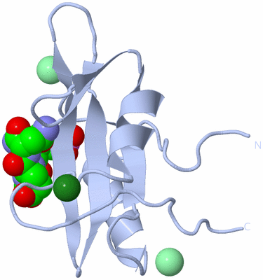 Image Biological Unit 1