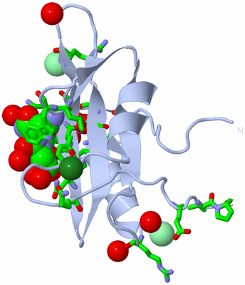 Image Biol. Unit 1 - sites