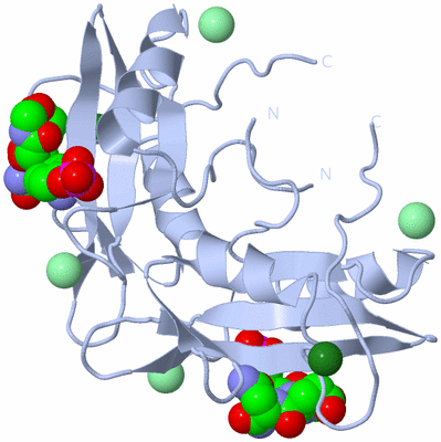 Image Biological Unit 2