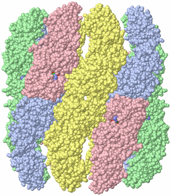 Image Biological Unit 1