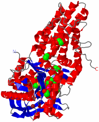 Image Asym./Biol. Unit