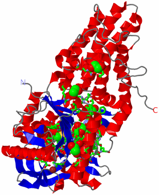 Image Asym./Biol. Unit - sites