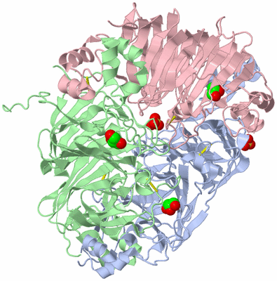 Image Biological Unit 1