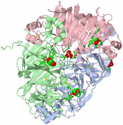 Image Biol. Unit 1 - sites