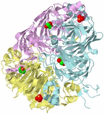 Image Biological Unit 2