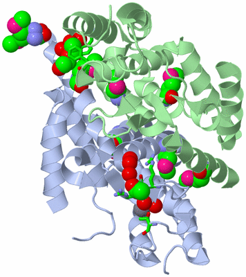 Image Asym./Biol. Unit - sites