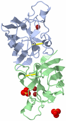 Image Biological Unit 1