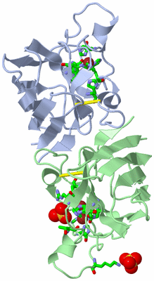 Image Biol. Unit 1 - sites