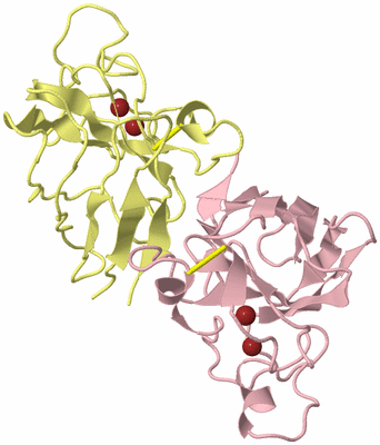 Image Biological Unit 2