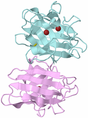 Image Biological Unit 3