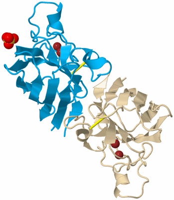 Image Biological Unit 5