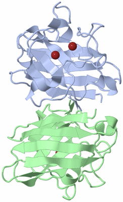 Image Biological Unit 1