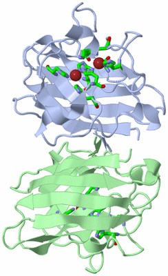 Image Biol. Unit 1 - sites