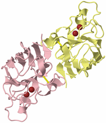 Image Biological Unit 2