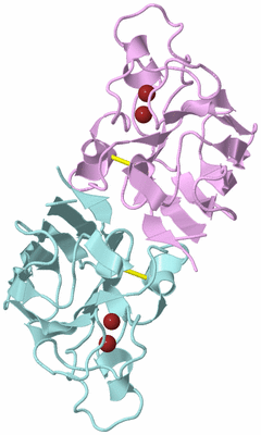 Image Biological Unit 3