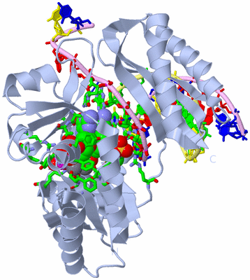 Image Biol. Unit 1 - sites