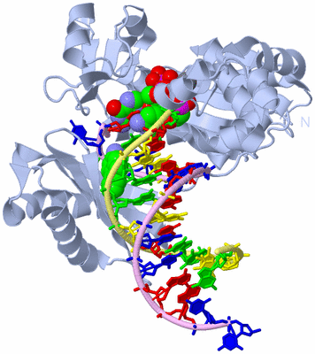 Image Biological Unit 1