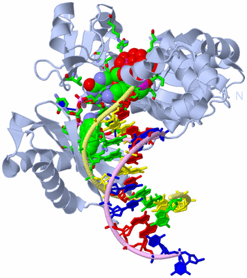 Image Biol. Unit 1 - sites