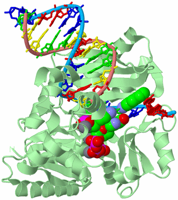 Image Biological Unit 2