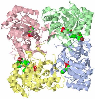 Image Biological Unit 1