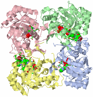 Image Biol. Unit 1 - sites