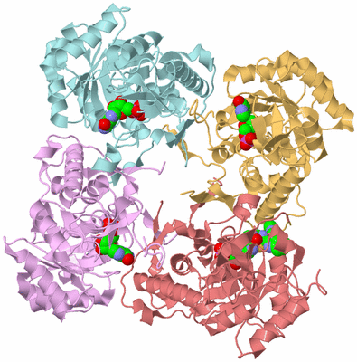 Image Biological Unit 2