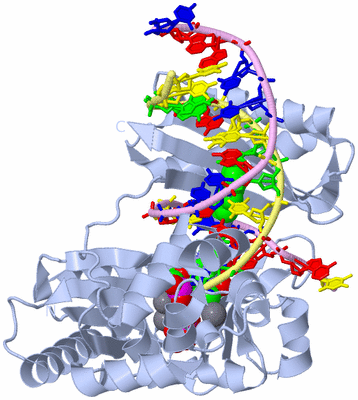 Image Biological Unit 1