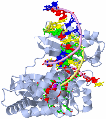 Image Biol. Unit 1 - sites