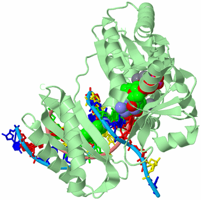 Image Biological Unit 2