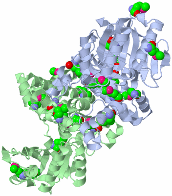 Image Asym./Biol. Unit