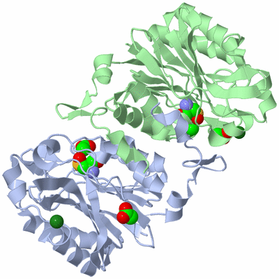 Image Asym./Biol. Unit