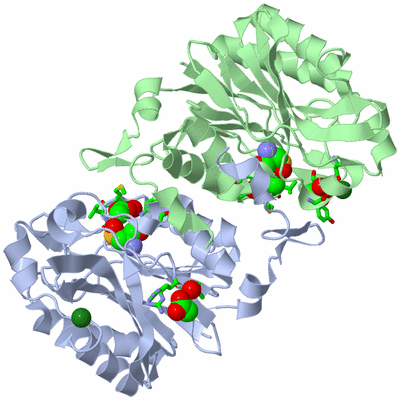 Image Asym./Biol. Unit - sites