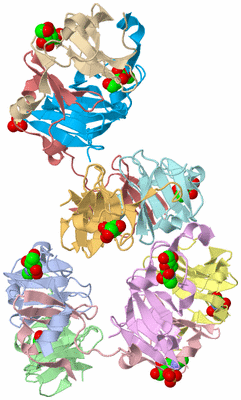 Image Biological Unit 1