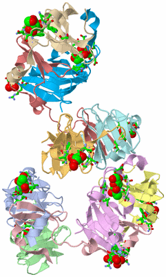 Image Biol. Unit 1 - sites