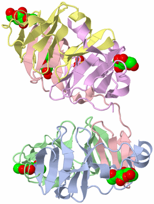 Image Biological Unit 2