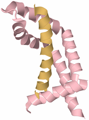 Image Biological Unit 3