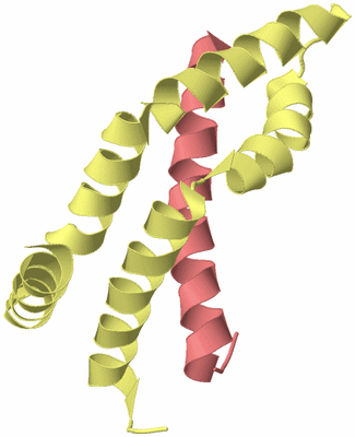 Image Biological Unit 4