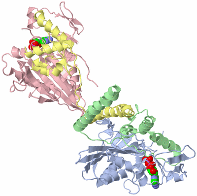 Image Biological Unit 1