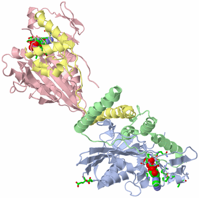 Image Biol. Unit 1 - sites