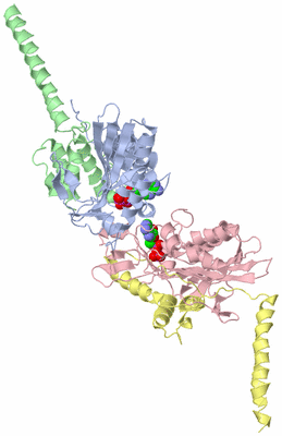 Image Biological Unit 2