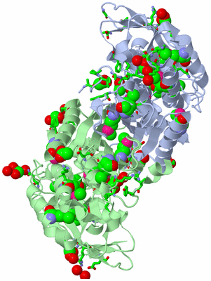 Image Asym./Biol. Unit - sites