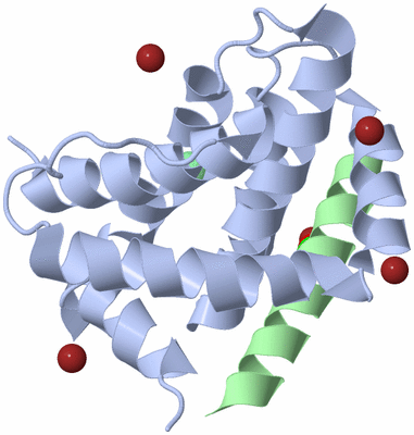 Image Biological Unit 1