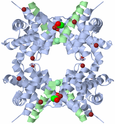 Image Biological Unit 2