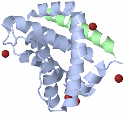 Image Biological Unit 1