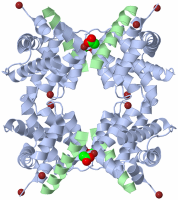 Image Biological Unit 2