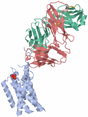 Image Asym./Biol. Unit