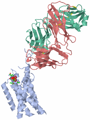 Image Asym./Biol. Unit - sites